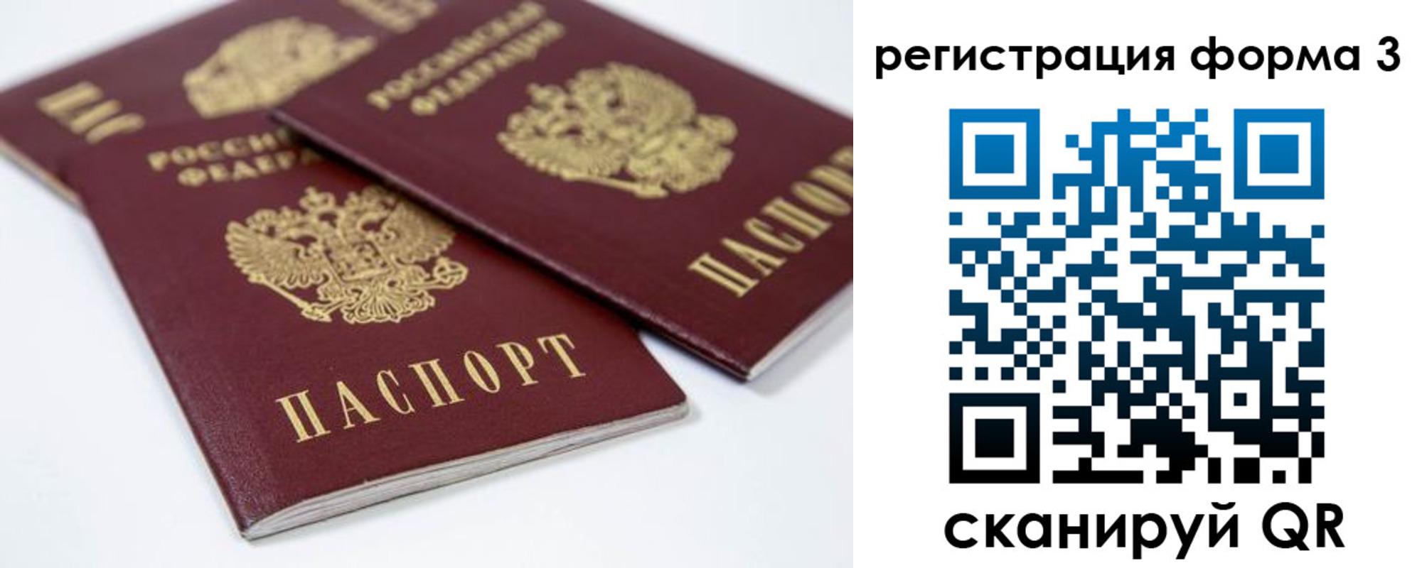 временная регистрация для всех в Димитровграде